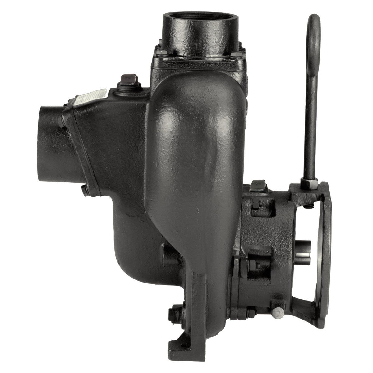 3" SS WS Pump Only