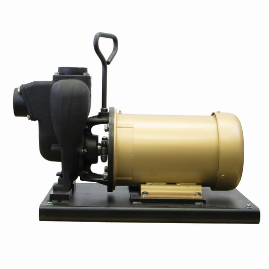 2" CI Pump w/ 5 HP Single Phase Electric Motor