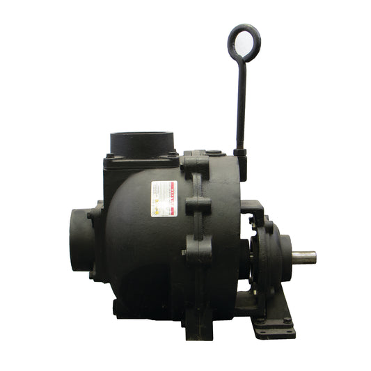4" CI Pump w/ Bearing Pedestal